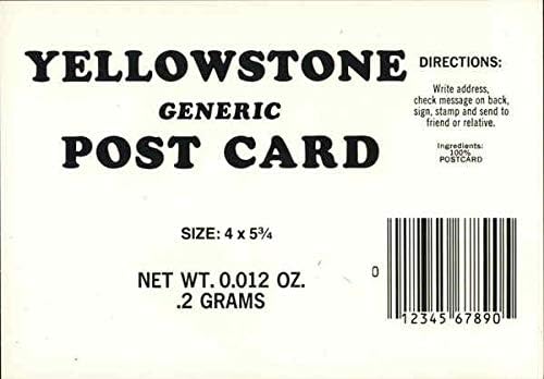 Yellowstone generička razlika Nacionalni park Yellowstone Original Vintage razglednica