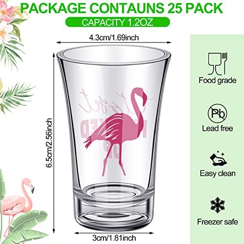 SUNNYRAY 25 PCS Flamingo Plastične ružičaste naočale Nastavimo se smiješne naočale 1,2 unce akrilno staklo za Flamingo Fiesta Party