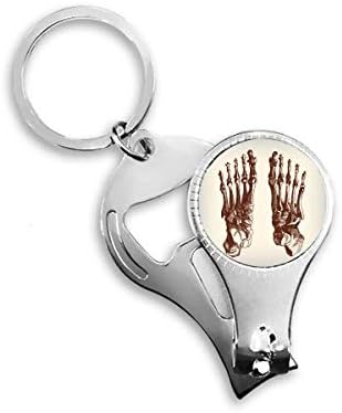 Ljudska tjelesna kost kosti nogu za noge za nokat za nokat za nokat otvora za otvarač za bočicu za bočicu za bočicu