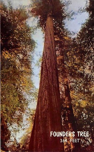 Autocesta Redwood, kalifornijska razglednica