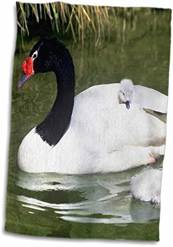 3-inčni ružičasti odrasli labud s crnim vratom i labudovi u vodi-902 90016-Ručnik za ruke / Sport, 15 22