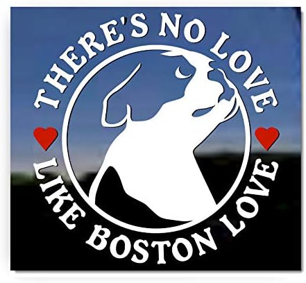 Nema ljubavi poput Boston Love Boston terijer psa vinil prozora naljepnica