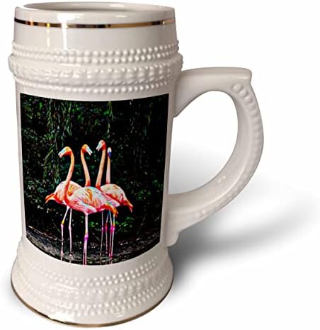 3Drose Pink Flamingos Slika svjetlosti infuzirane slike - 22oz Stein šalica